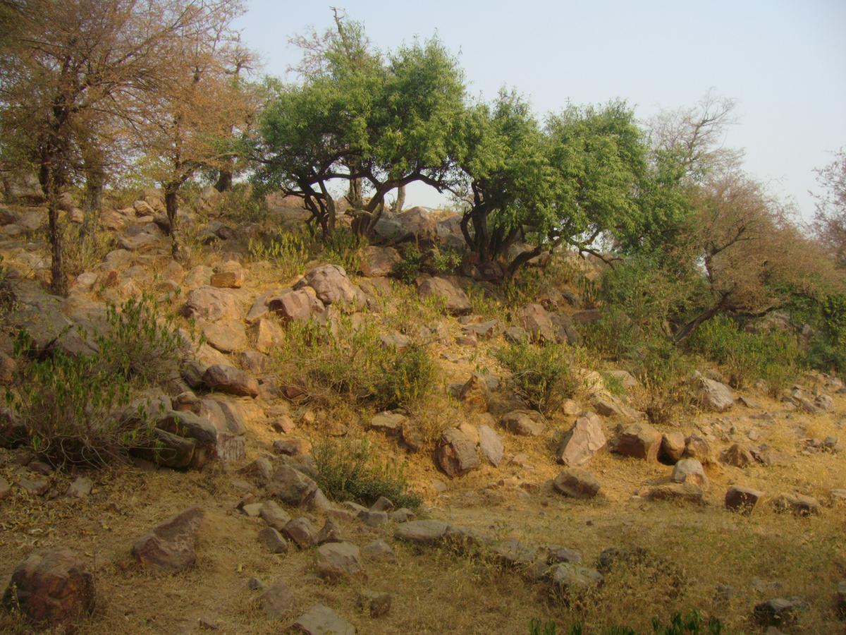 Braj Yatra with Govardhan Parikrama from Delhi — 3 Days
