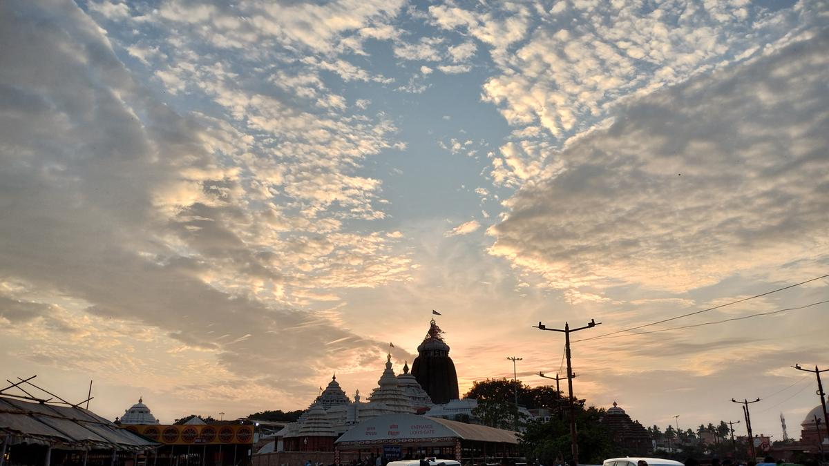 Jagannath Puri Rath Yatra — 3 Days (Peak Festival)